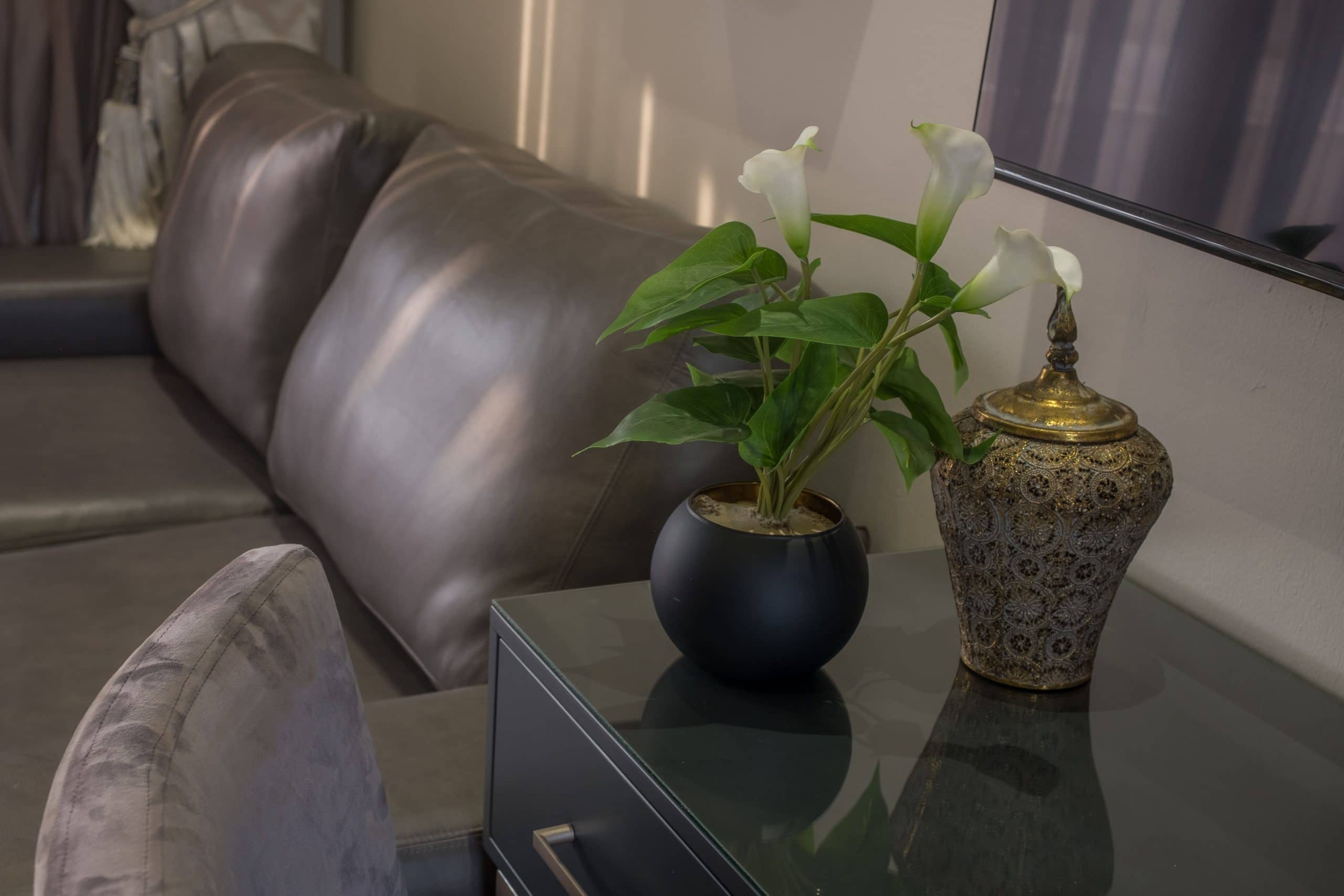 Potted plant and ornament on desk next to a leather couch